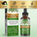Rosemary Hair Growth Oil – image 12