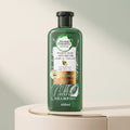 Herbal Essences Sulfate Free Potent Aloe Avocado Oil Curl Hydrating Shampoo and Conditioner, Multi-Color