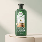 Herbal Essences Sulfate Free Potent Aloe Avocado Oil Curl Hydrating Shampoo and Conditioner, Multi-Color