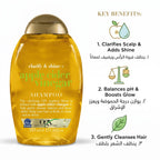 Ogx Apple Cider Vinegar Shampoo 385ml – image 6