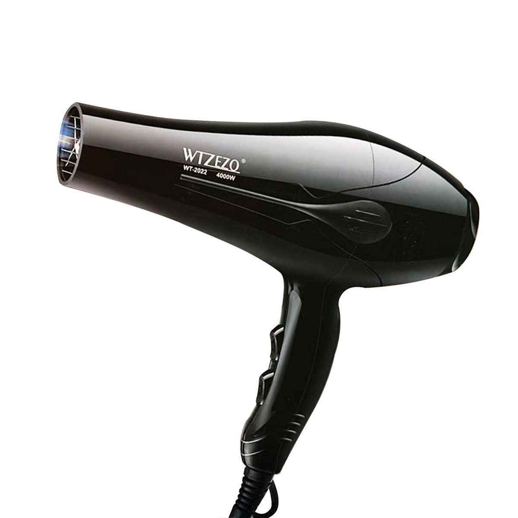 Electric Hair Dryer Professional Blow Dryer